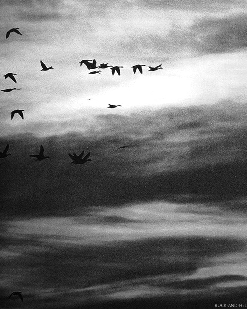 Archillect ID 44902