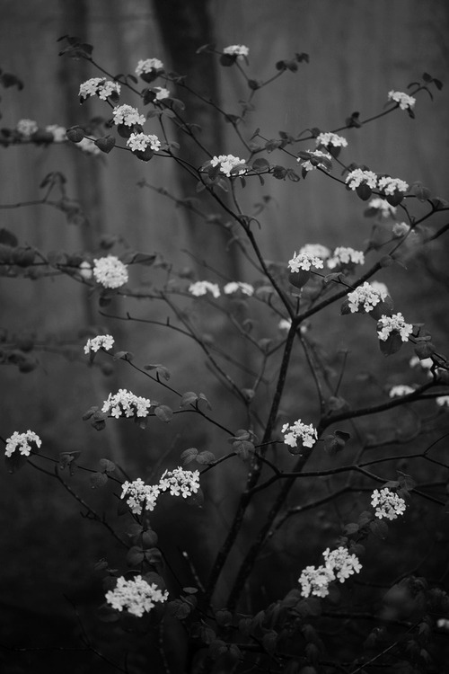 Archillect ID 44955