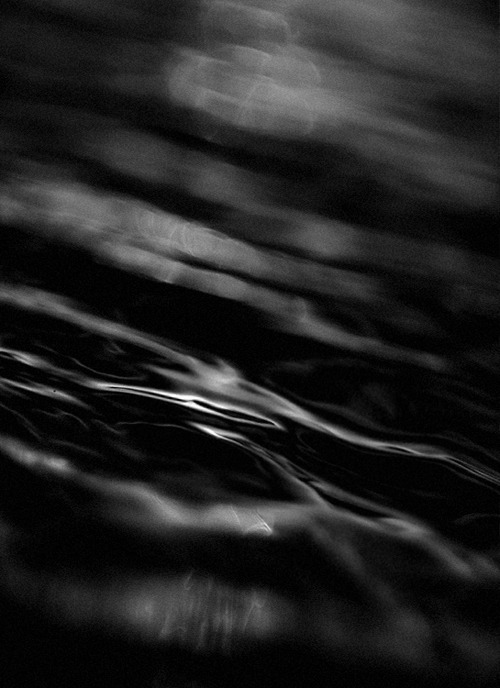 Archillect ID 45020
