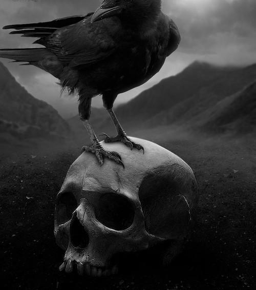 Archillect ID 45234