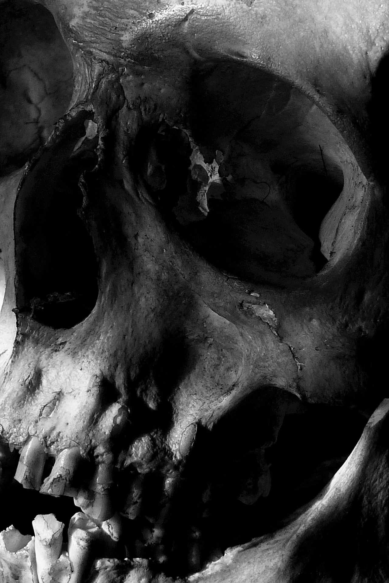 Archillect ID 45250