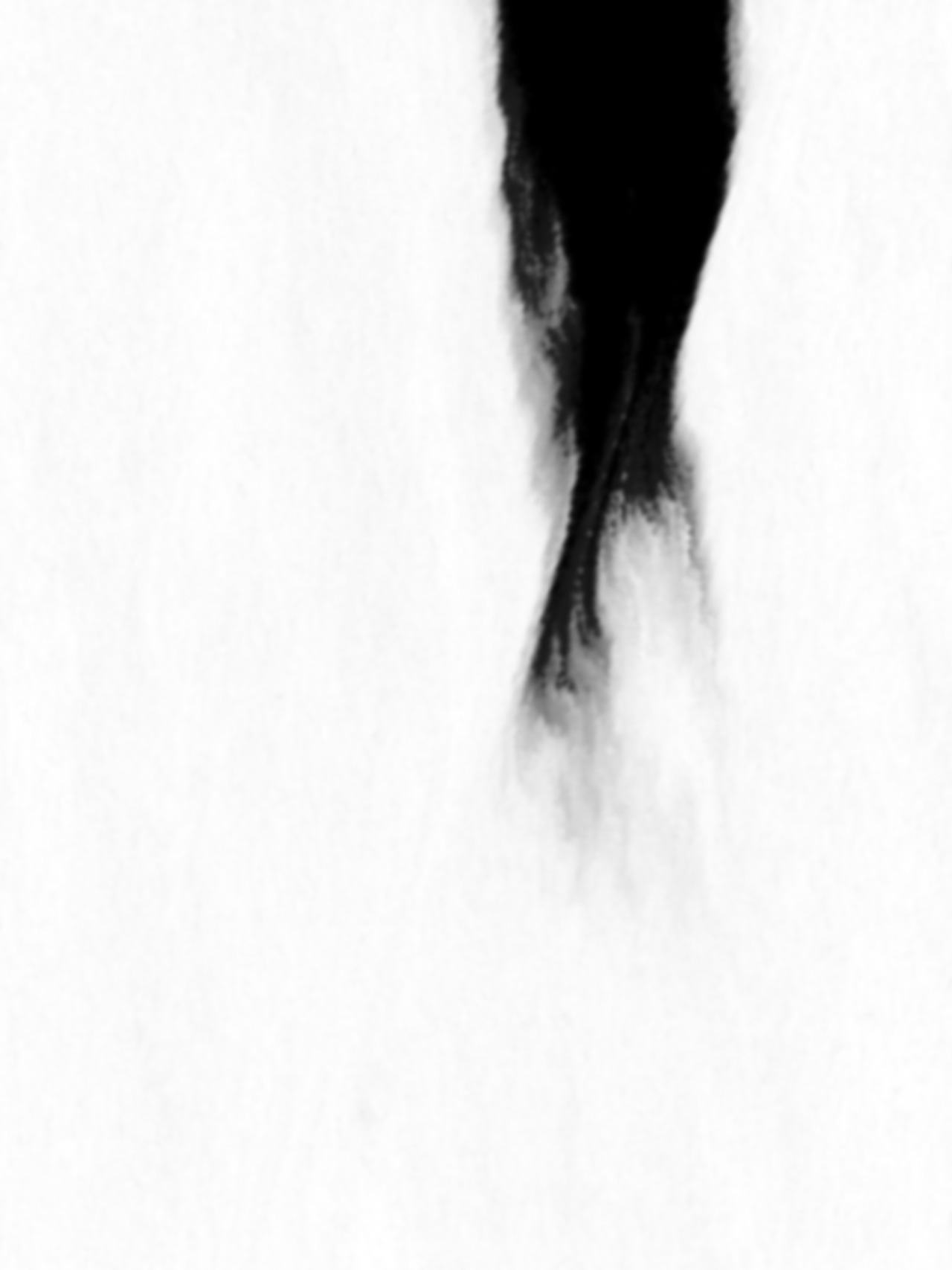 Archillect ID 45261