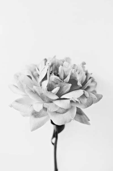 Archillect ID 45284
