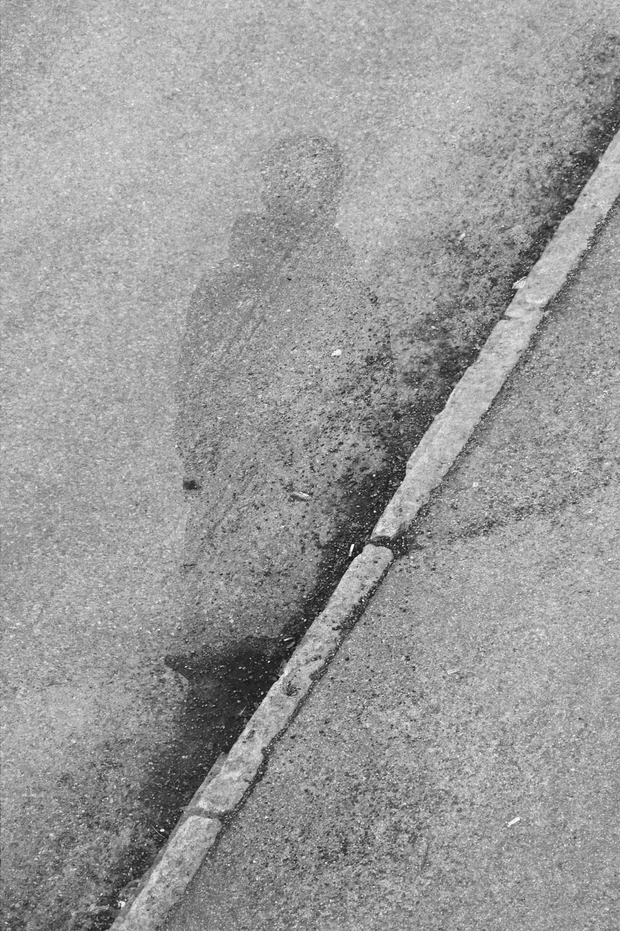 Archillect ID 45310