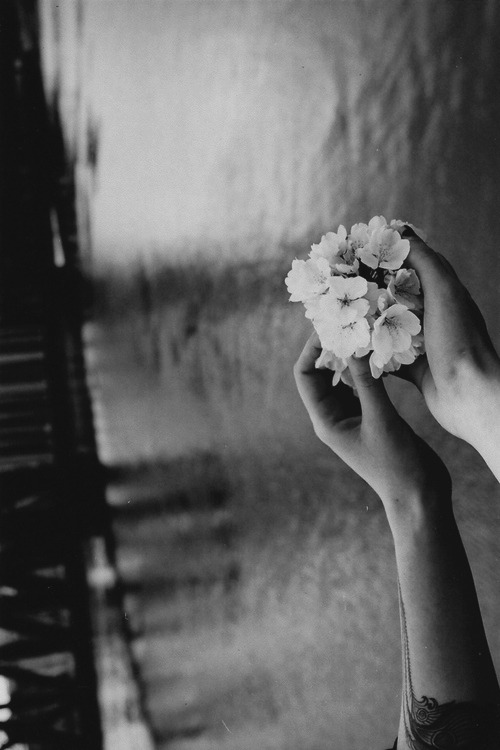 Archillect ID 45420