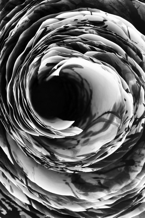 Archillect ID 45501