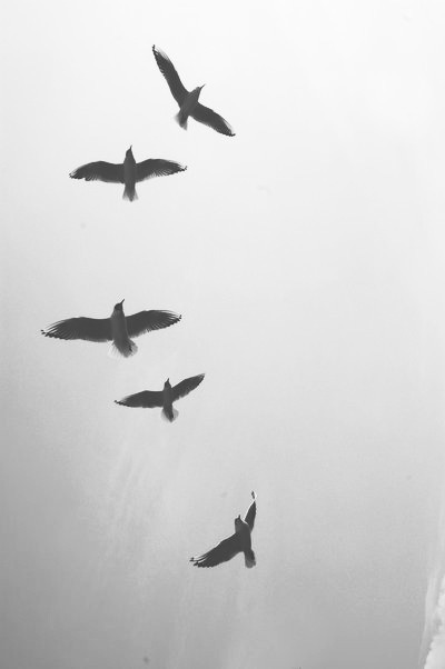 Archillect ID 45517