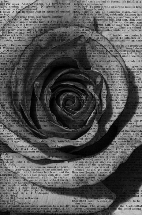 Archillect ID 45606