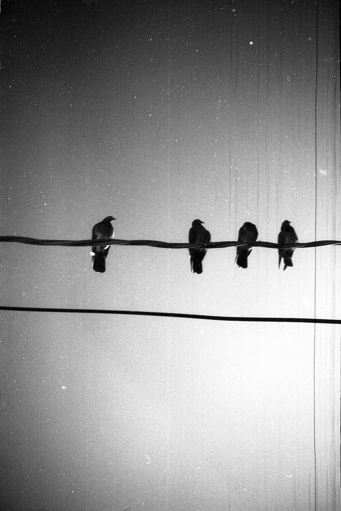 Archillect ID 45784