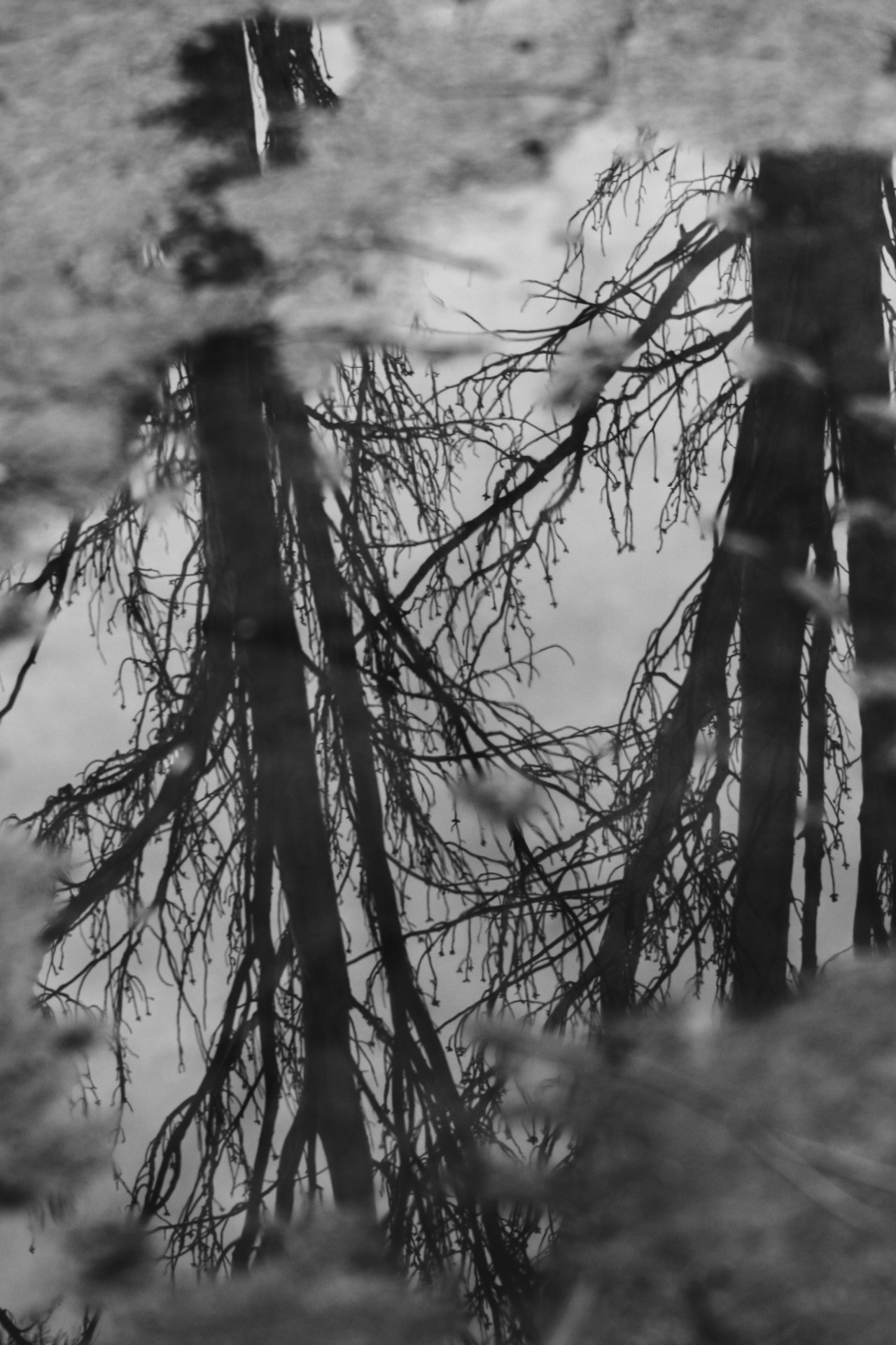 Archillect ID 45834