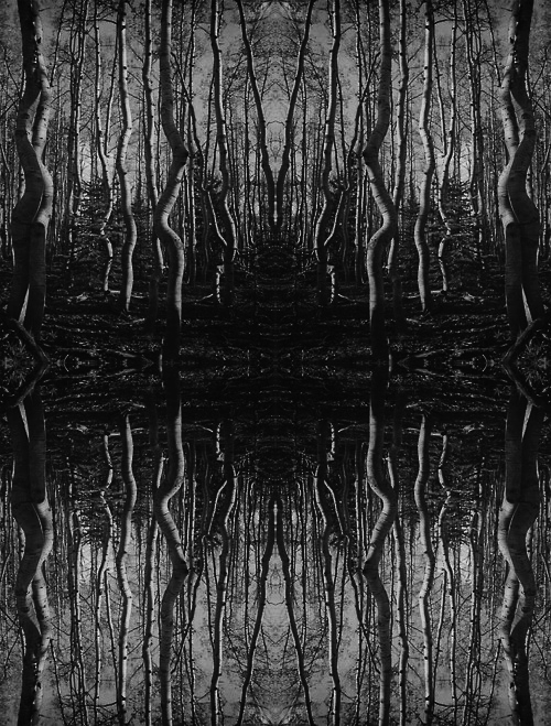 Archillect ID 45887