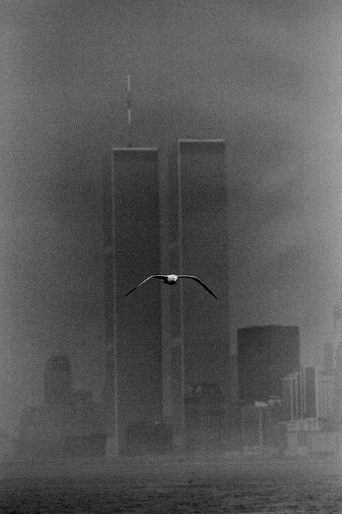 Archillect ID 45992