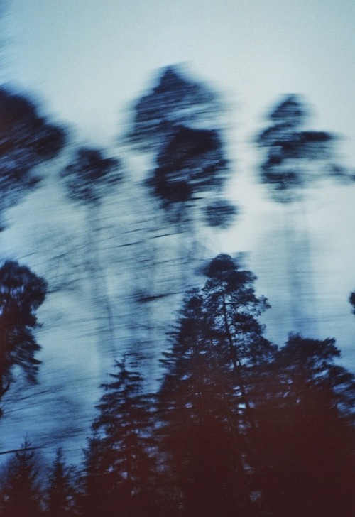Archillect ID 45996