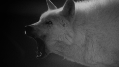 Archillect ID 46015