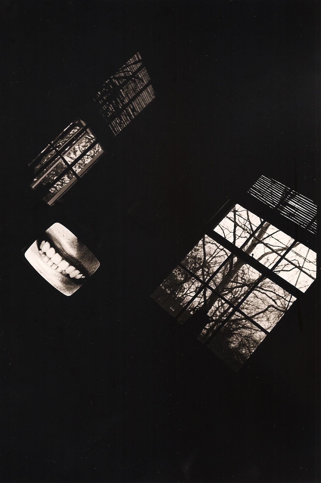 Archillect ID 46204