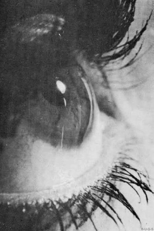 Archillect ID 46298
