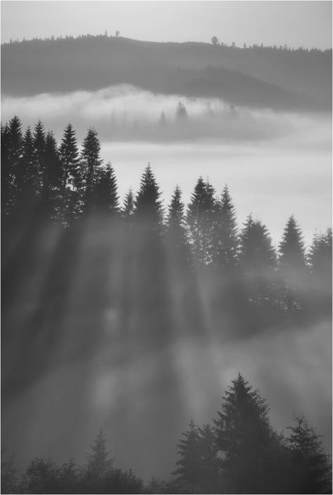 Archillect ID 46485