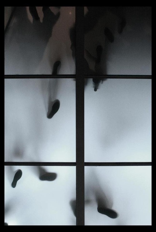 Archillect ID 46774