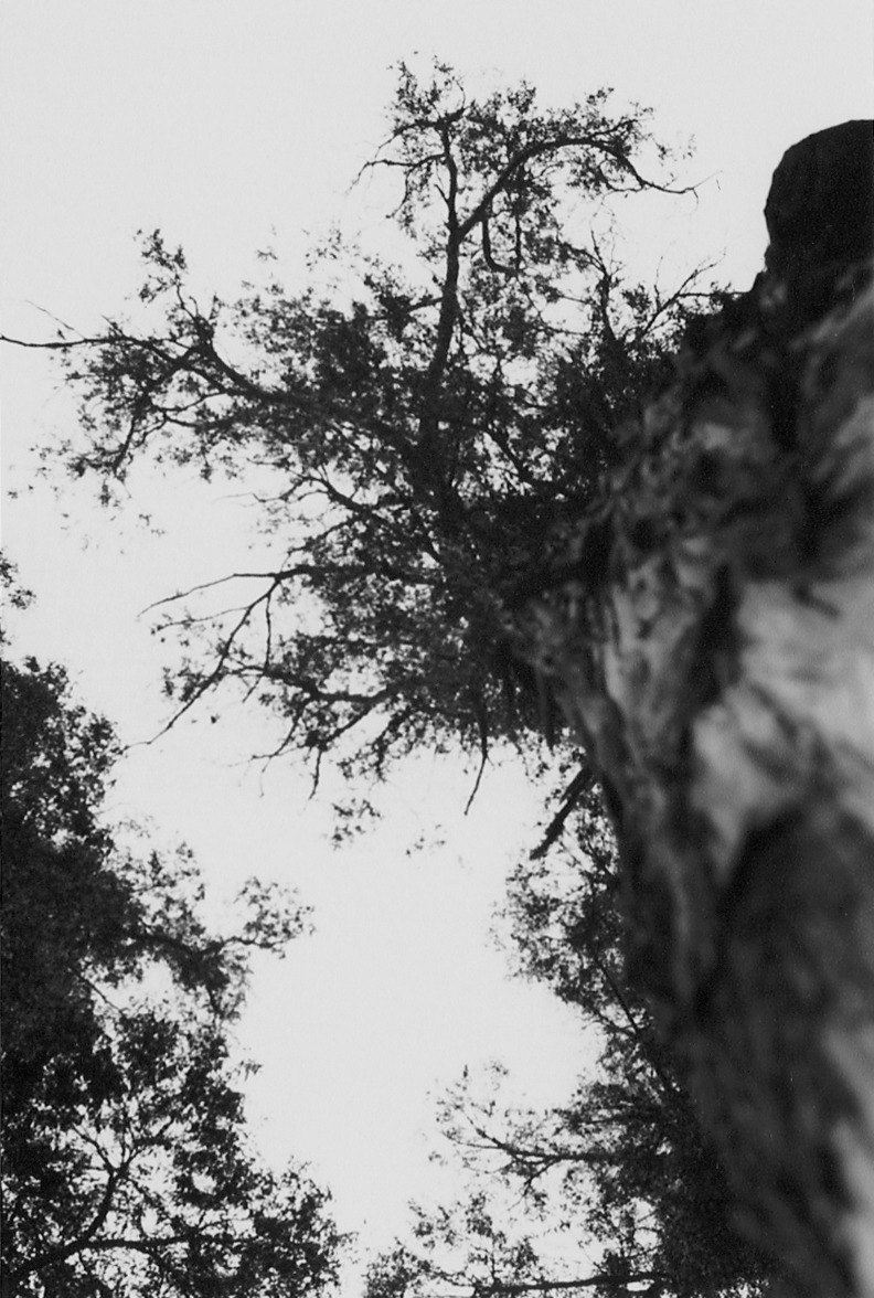 Archillect ID 46812