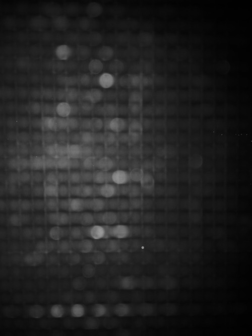 Archillect ID 46995
