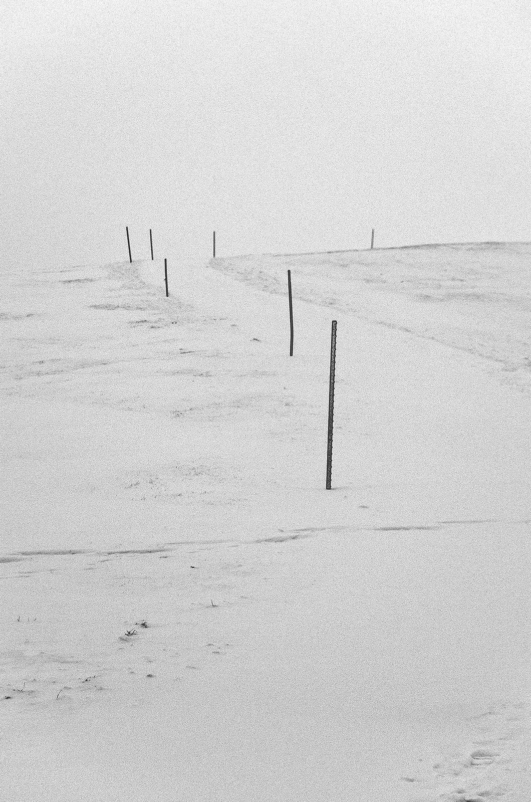 Archillect ID 47003