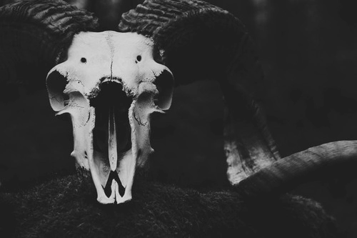Archillect ID 47014