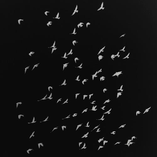 Archillect ID 47015