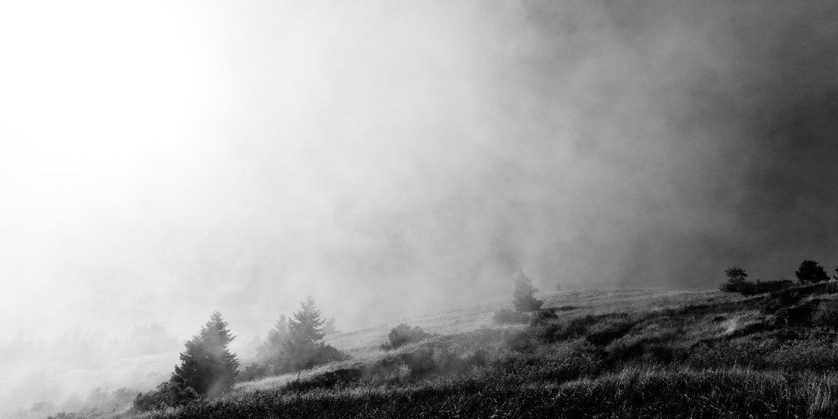 Archillect ID 47025