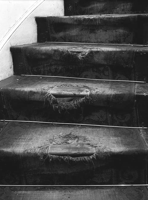 Archillect ID 47138