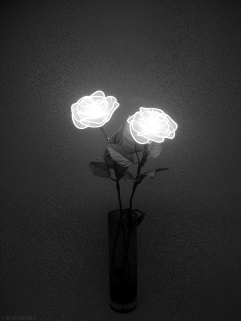 Archillect ID 47146