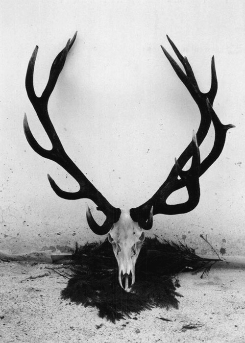 Archillect ID 47152