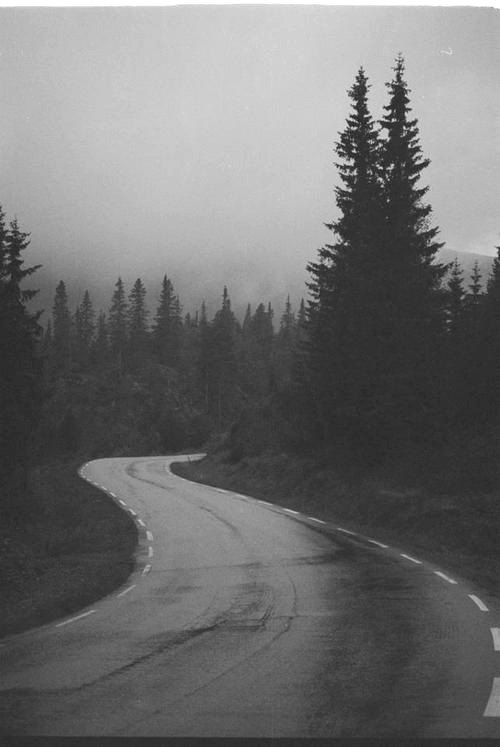 Archillect ID 47163