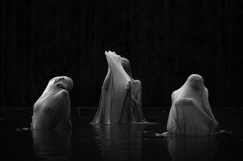 Archillect ID 47188