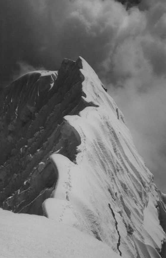 Archillect ID 47205
