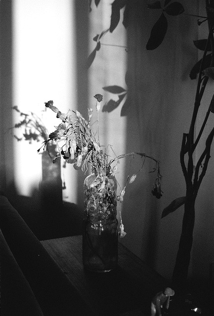 Archillect ID 47208