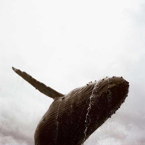 Archillect ID 47235