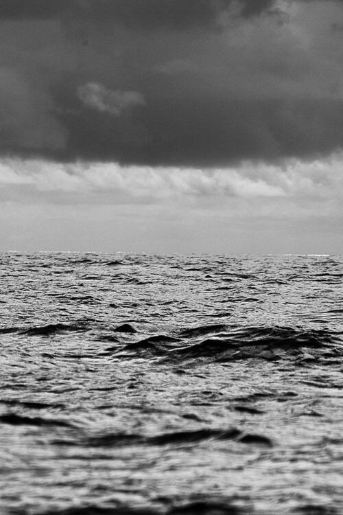 Archillect ID 47243
