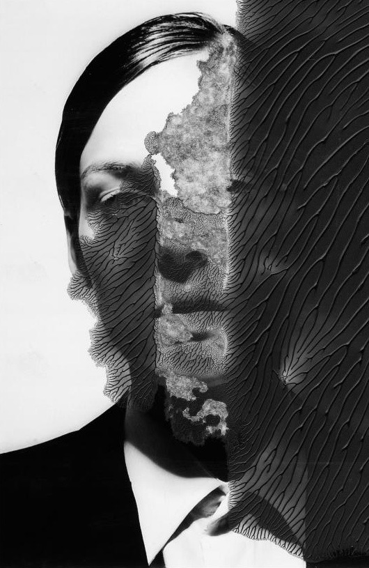 Archillect ID 47287