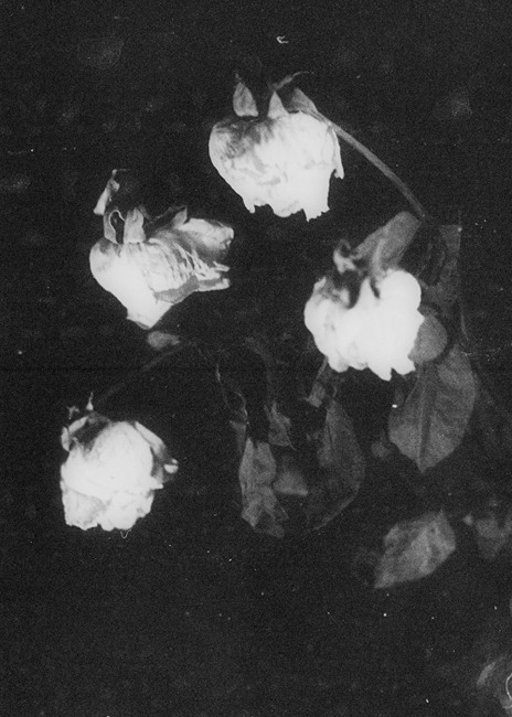 Archillect ID 47320