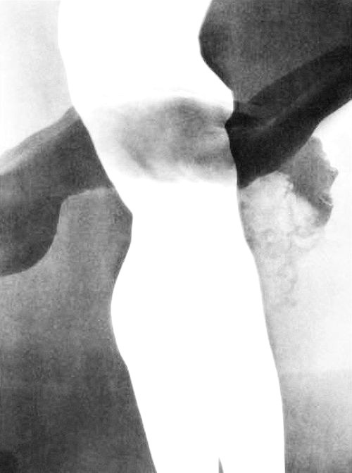 Archillect ID 47326