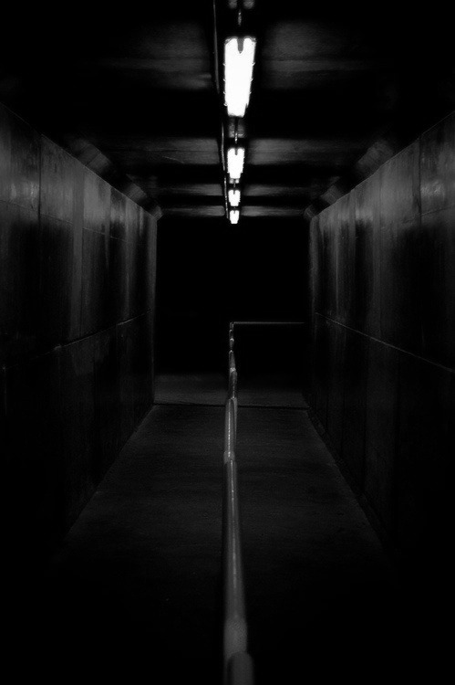 Archillect ID 47339