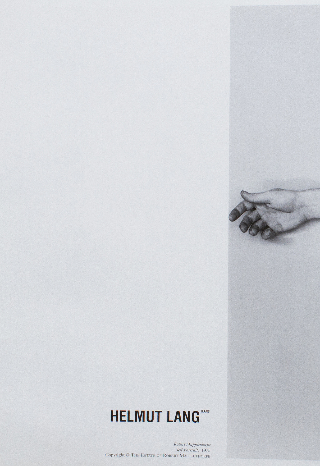 Archillect ID 47358