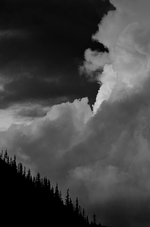 Archillect ID 47502