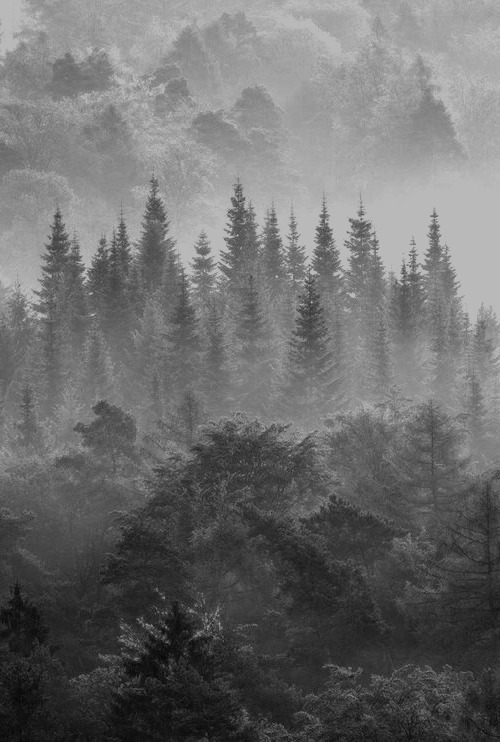 Archillect ID 47536