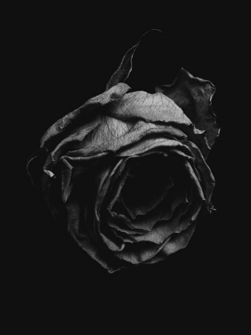 Archillect ID 47545