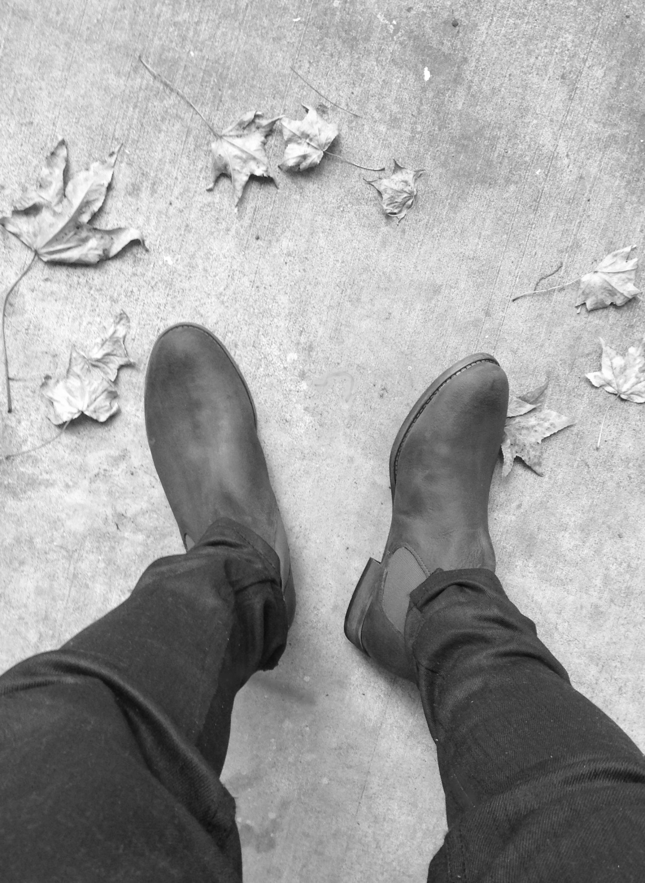 Archillect ID 47632