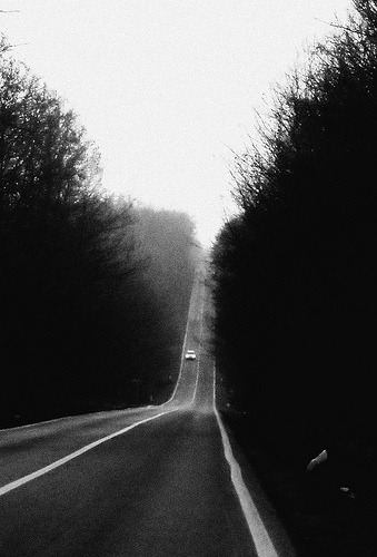 Archillect ID 47855