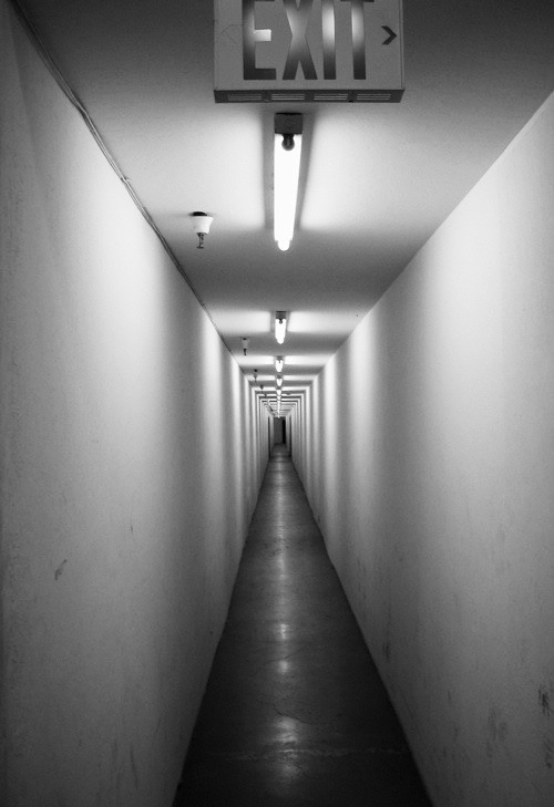 Archillect ID 47925