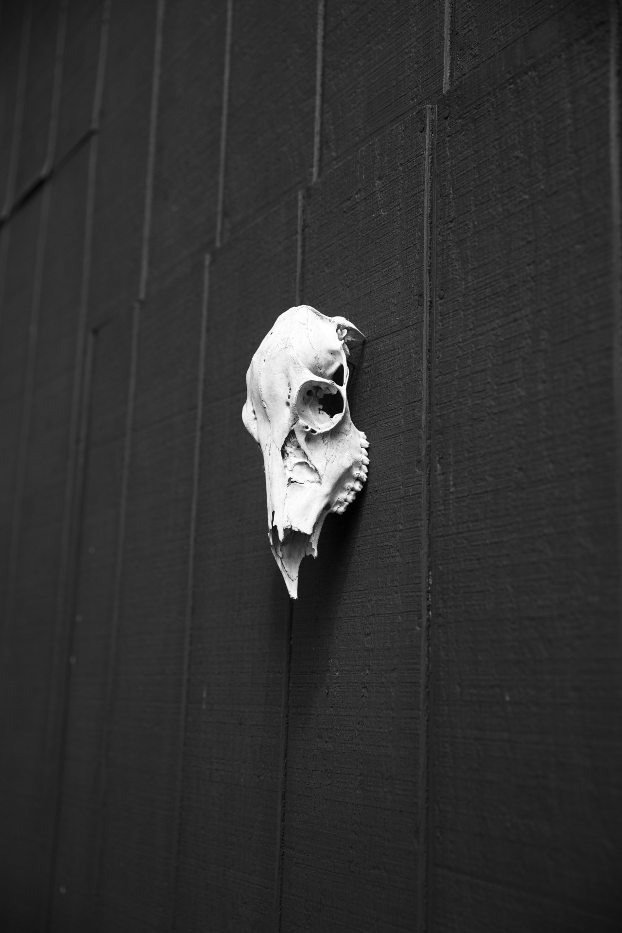 Archillect ID 47951