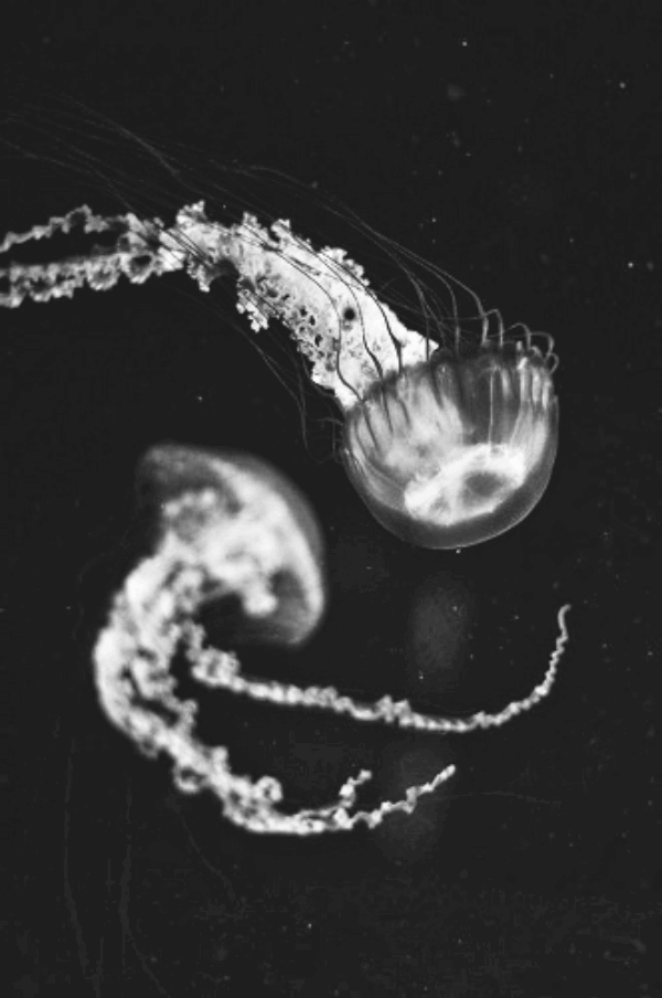 Archillect ID 47979